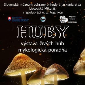 vystava huby 2020.jpg